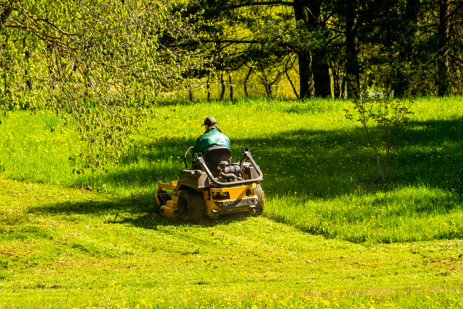 Landscaper cutting grass on riding lawn mower