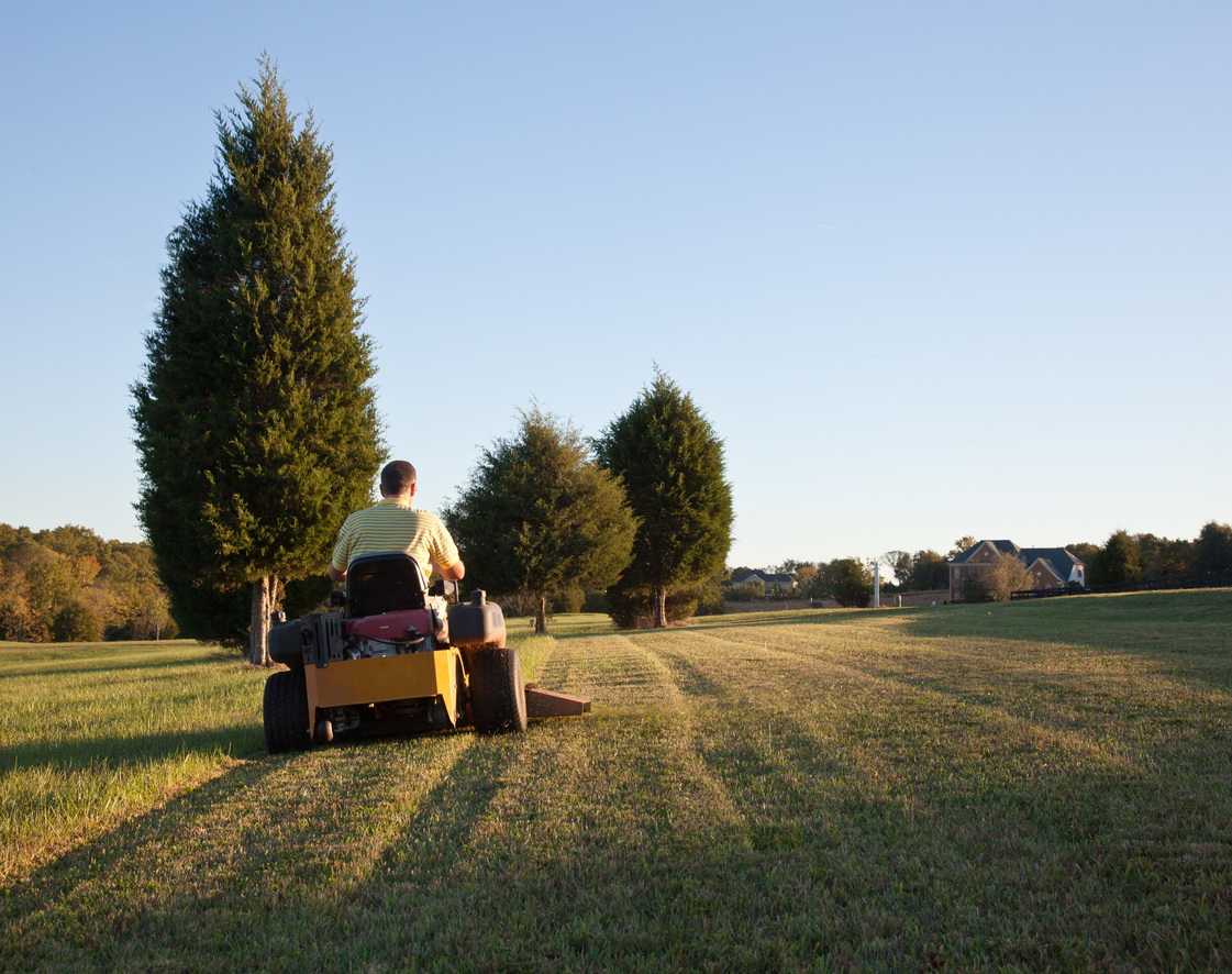 Senior Mowing Lawn